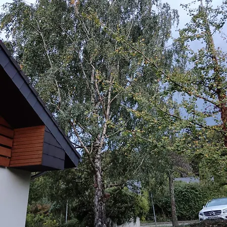 Haus Roetebuck Homestay Mullheim (Baden-Wurttemberg)