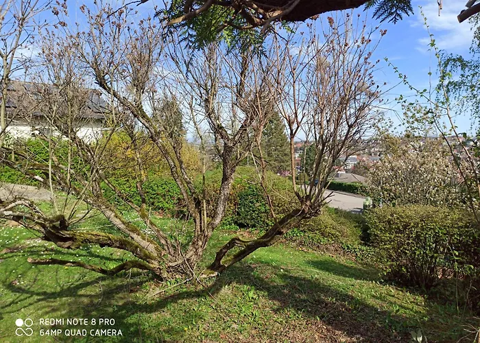 Haus Roetebuck Mullheim (Baden-Wurttemberg)